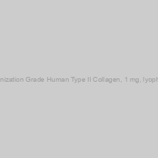 Image of Immunization Grade Human Type II Collagen, 1 mg, lyophilized